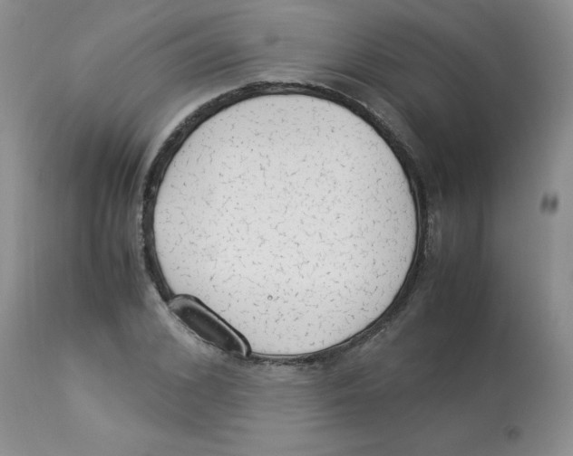 X0000112870976200909181820