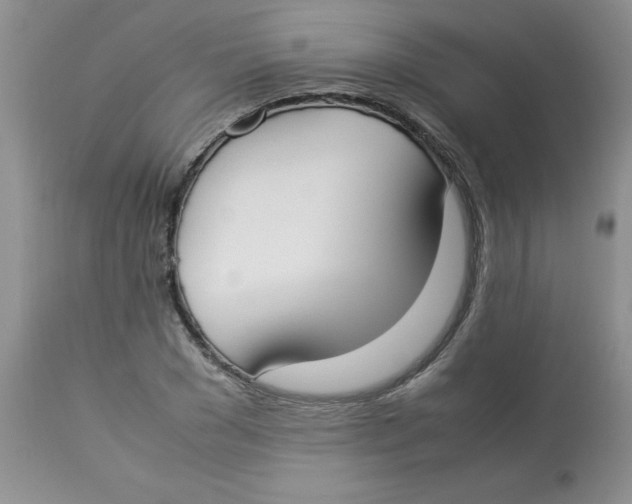 X0000112870977200909181820