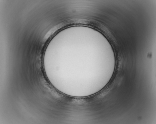 X0000112870978200909181820