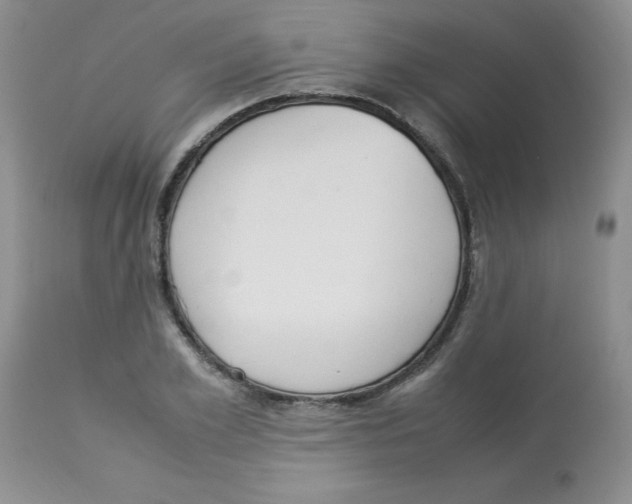 X0000112870981200909181820