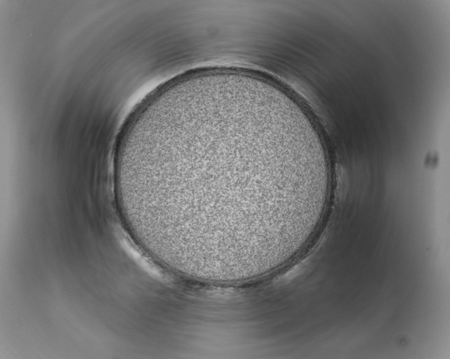 X0000112870982200909181820