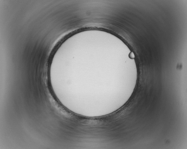 X0000112870984200909181820