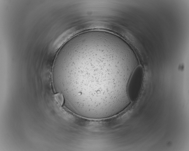 X0000112870985200909181820