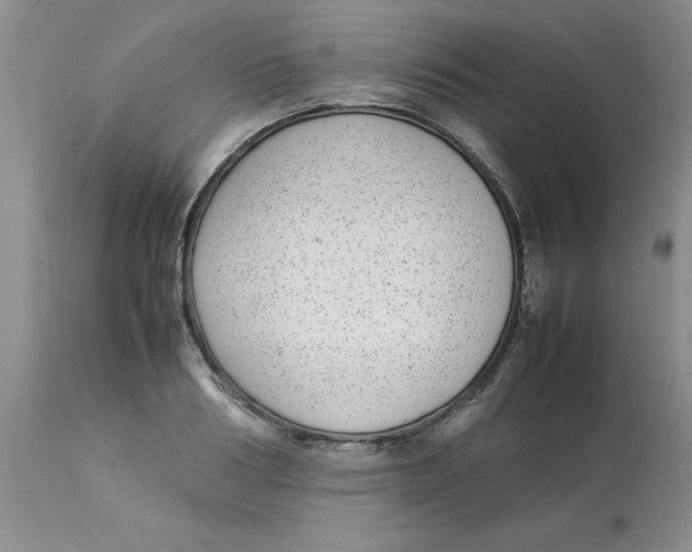 X0000112870986200909181820