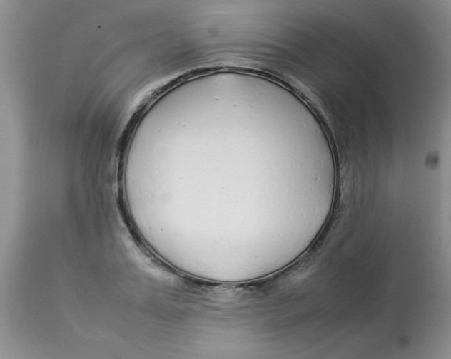 X0000112870987200909181820