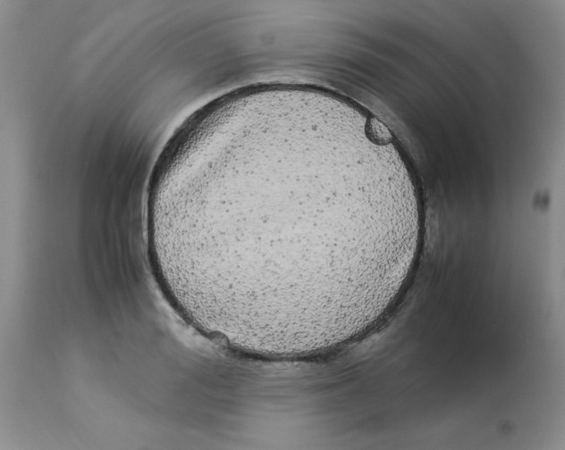 X0000112870988200909181820