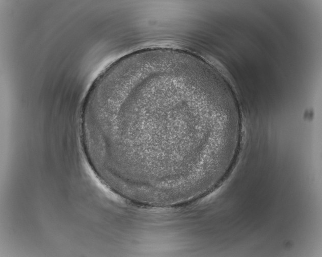 X0000112870989200909181820