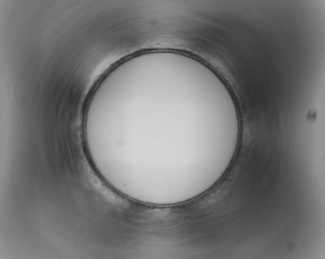 X0000112870990200909181820