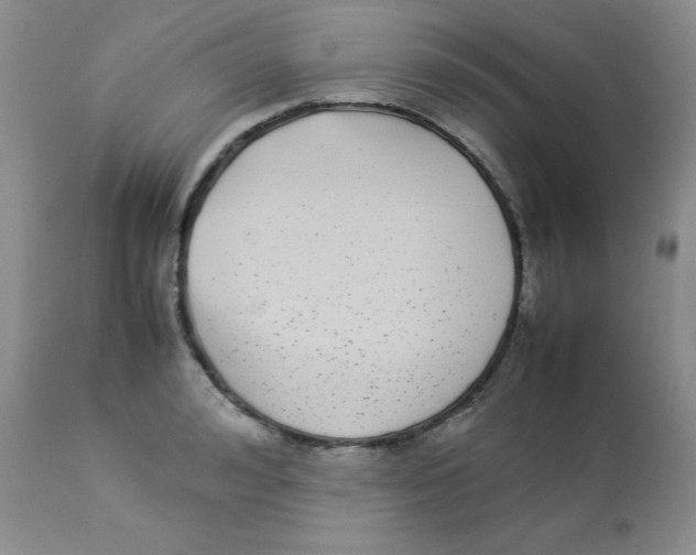 X0000112870992200909181820