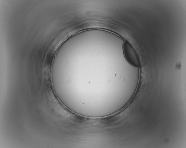 X0000112870993200909181820