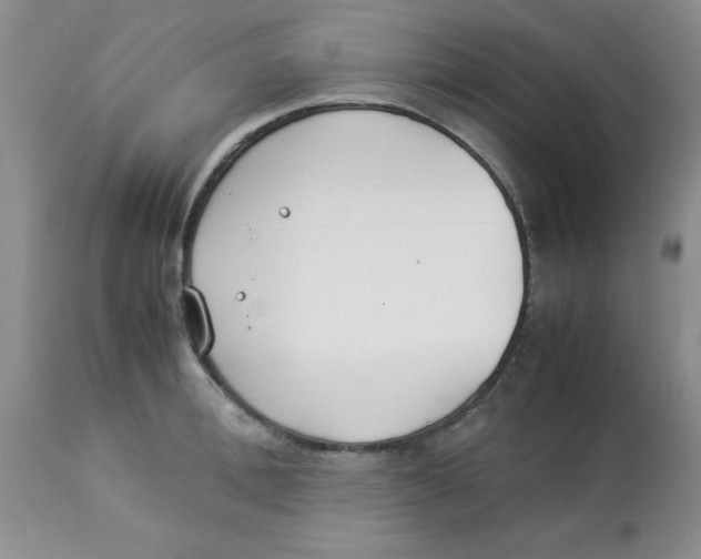 X0000112870996200909181820