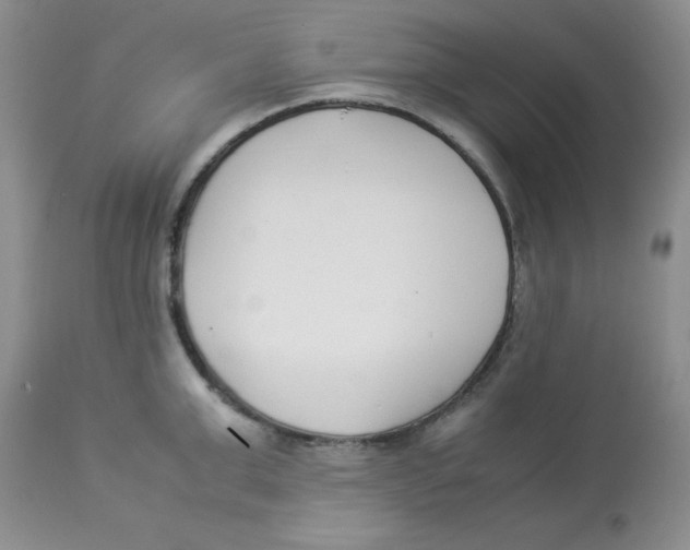 X0000112870999200909181820