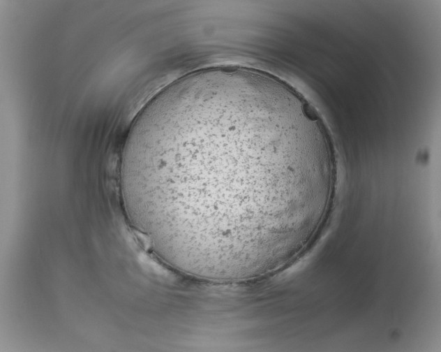 X0000112871001200909181820