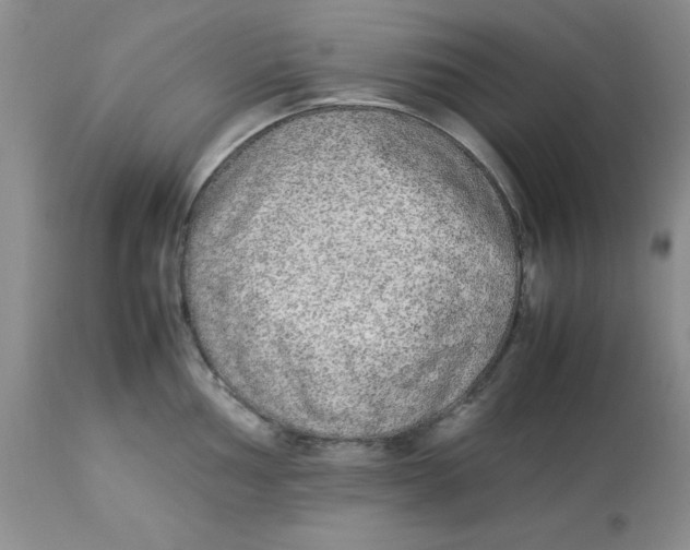 X0000112871002200909181820