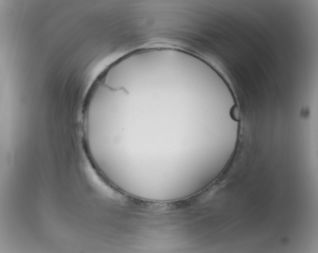 X0000112871003200909181820