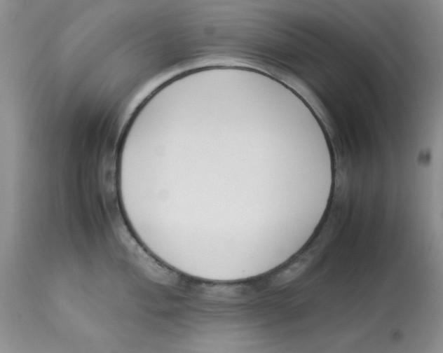 X0000112871004200909181820