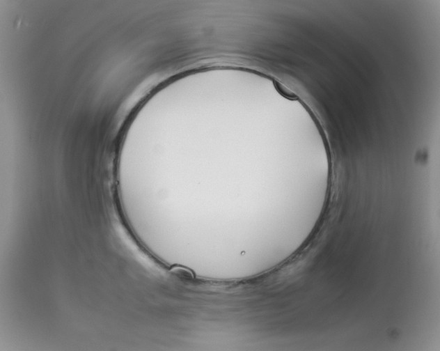 X0000112871005200909181820