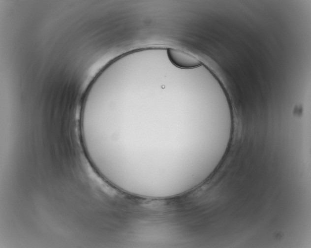 X0000112871006200909181820