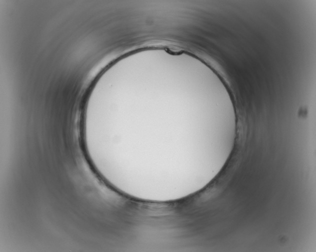 X0000112871007200909181820