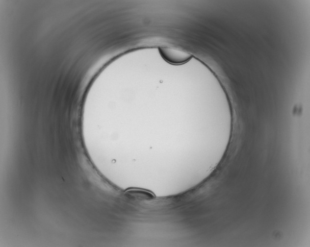 X0000112871008200909181820