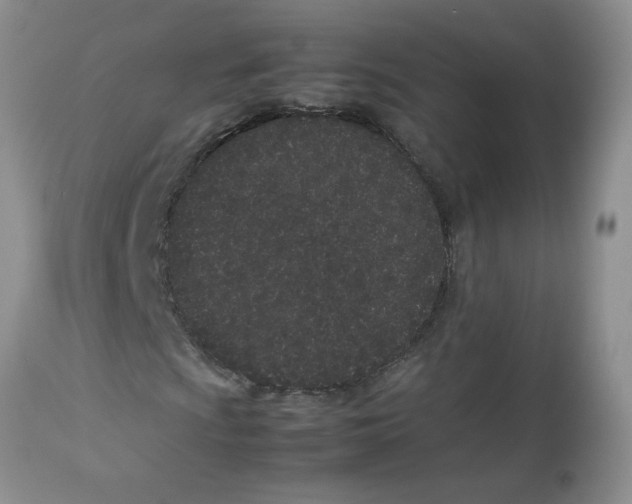 X0000112871009200909181819