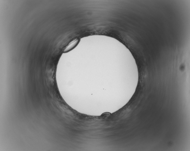 X0000112871010200909181819