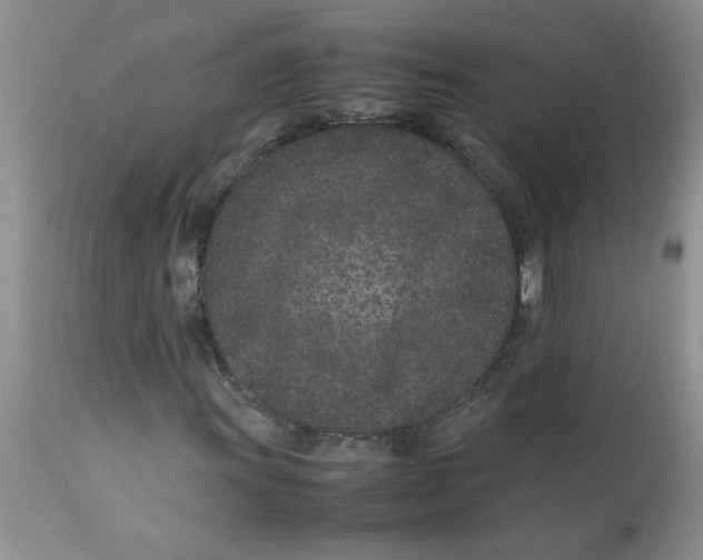 X0000112871011200909181819