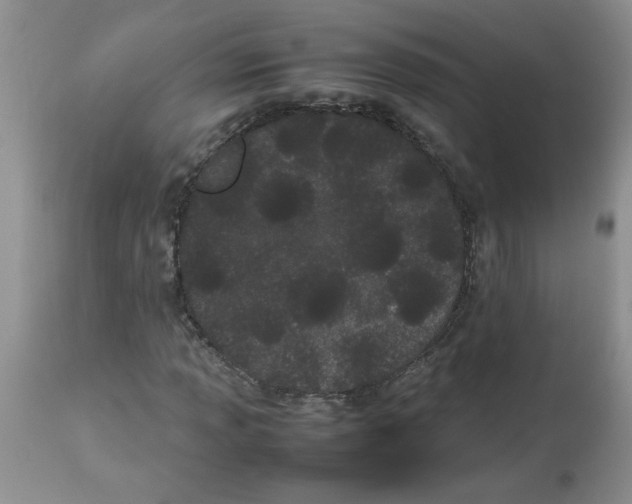 X0000112871013200909181819