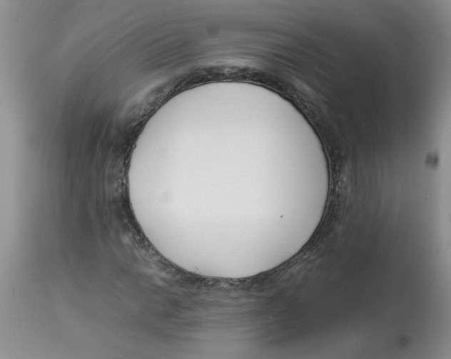 X0000112871014200909181819