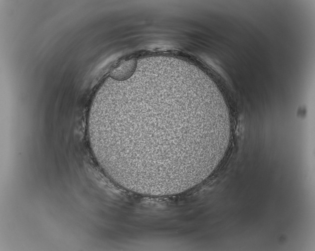 X0000112871015200909181819