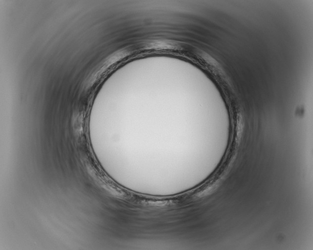 X0000112871017200909181819