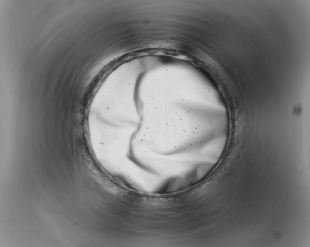 X0000112871019200909181819