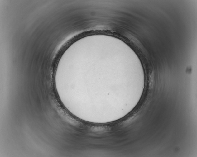 X0000112871021200909181819