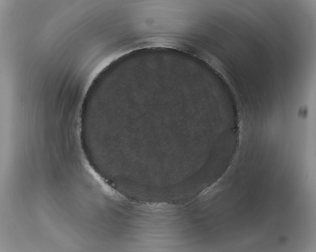 X0000112871024200909181819