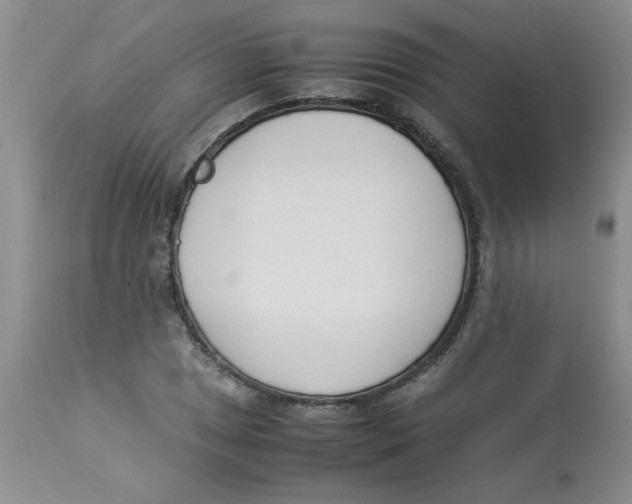 X0000112871025200909181819