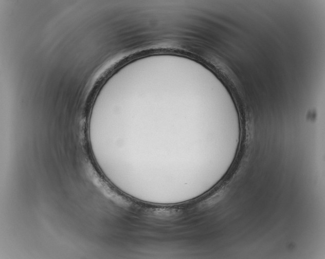 X0000112871029200909181820