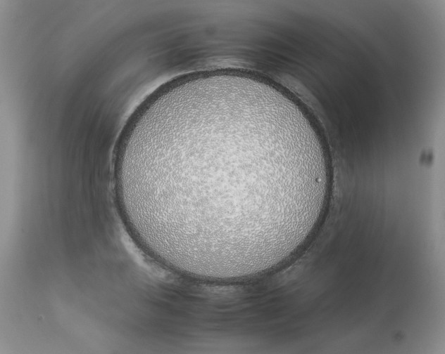 X0000112871031200909181820