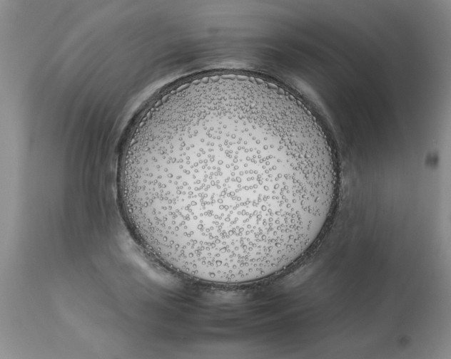 X0000112871035200909181820