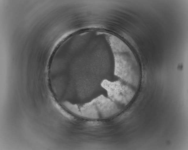 X0000112871037200909181820