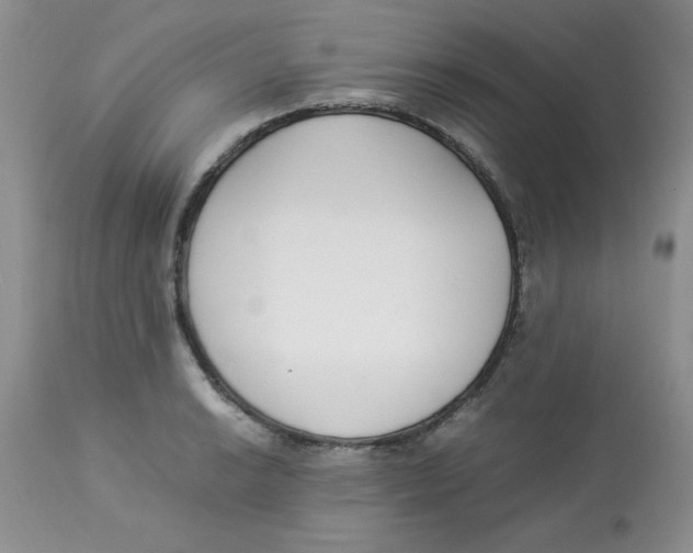 X0000112871038200909181820