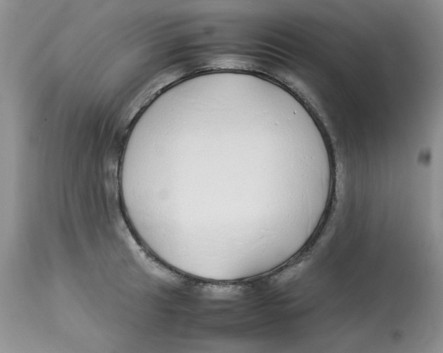 X0000112871041200909181820