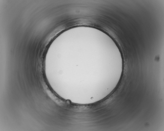 X0000112871042200909181820