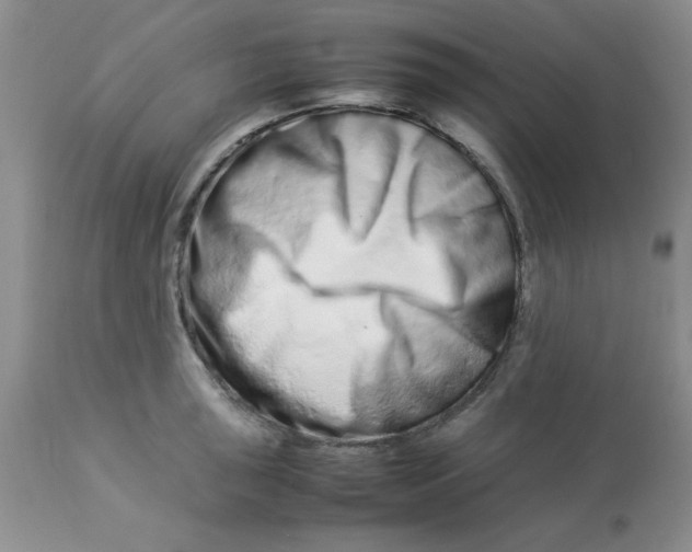 X0000112871043200909181820