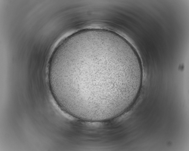 X0000112871045200909181820