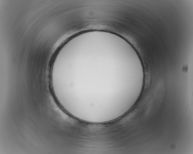 X0000112871046200909181820