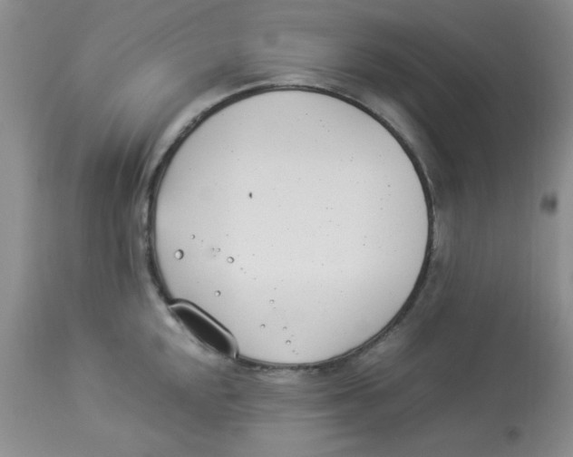 X0000112871048200909181820