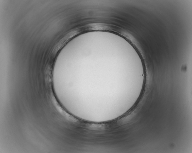 X0000112871049200909181820