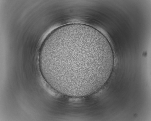 X0000112871051200909181820