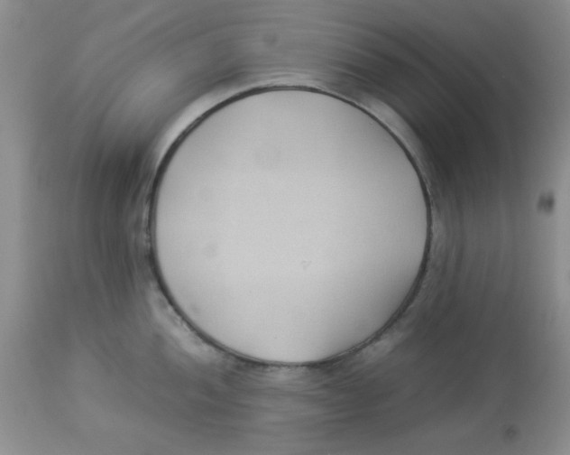 X0000112871052200909181820