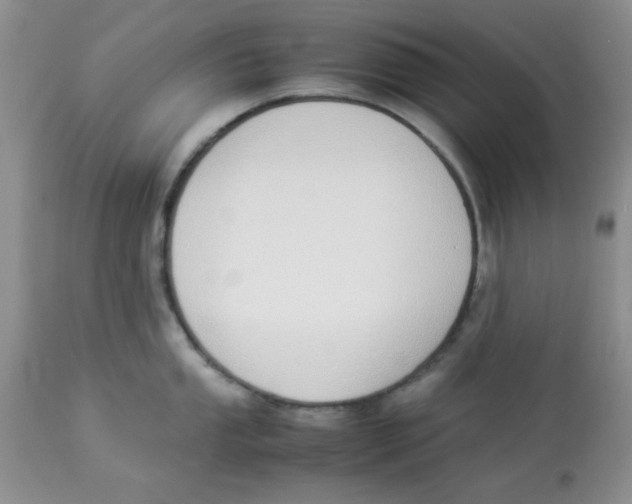 X0000112871053200909181820